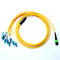 Unionfiber MPO 12 Cord SM Fiber Optics Jumper MPO To LC Male