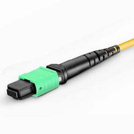 US CONNEC Singlemode MPO Products Mpo Optical Fiber Fanout Patch Cord MTP LC 12 Core