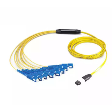12 base MTP/MPO - cordón de remiendo del SC SM usado dentro de la caja del módulo