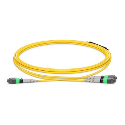 Calidad MTP Breakout Cable con 8° APC Endface y G.657.A1 Fibra insensible a la flexión para enlaces de centros de datos con clasificación de seguridad contra incendios OFNP Fábrica