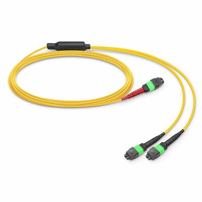 Calidad Cable MTP con 0,35 dB bajo IL y G.657.A1 Fibra insensible a la flexión para aplicaciones con clasificación de seguridad contra incendios OFNP Fábrica